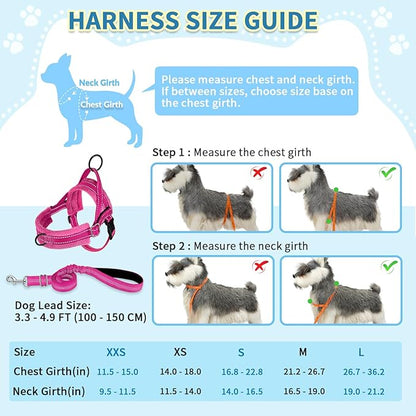 SlowTon No Pull Small Dog Harness and Leash Set, Puppy Soft Vest Harness Neck & Chest Adjustable, Reflective Lightweight Harness & Anti-Twist Pet Lead Combo for Small Medium Dogs (Fuchsia, S)