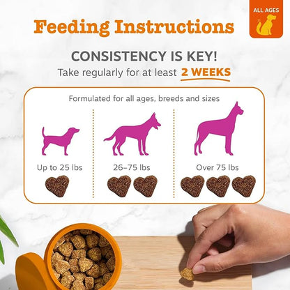 Zesty Paws Hip and Joint for Dogs, Glucosamine for Dogs Hip and Joint Supplement with Chondroitin, MSM, Vitamins C & E - Duck, 250 Count