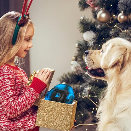 Pamlulu Tough Dog Toys for Aggressive Chewers, Indestructible Dog Toy for Large Dogs, Nylon Chew Toys for Medium Large Breed, Interactive Dog Toys to Keep Them Busy, Dog Birthday