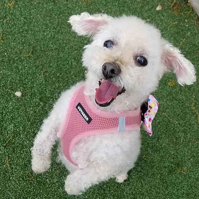 Best Pet Supplies Voyager Step-in Air All Weather Mesh Harness and Reflective Dog 5ft Leash Combo with Neoprene Handle, for Small, Medium and Large Breed Puppies - Set (Pink), X-Small