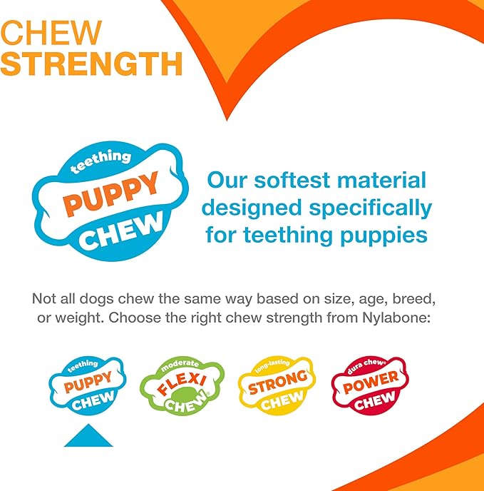 Nylabone Puppy Pacifier Chew Toy, Teething Toys for Puppies, Bacon Flavor, Small - Up to 25 lbs, 1 Count