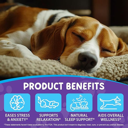 Melatonin for Dogs, Sleep Aid Drops Supports Dog Sleep, Dog Anxiety Relief, Calming Dogs & Regulates Sleep Patterns - Pet Supplies Supplement Liquid Vitamins, Bacon Flavour - 2 Fl Oz / 60ml