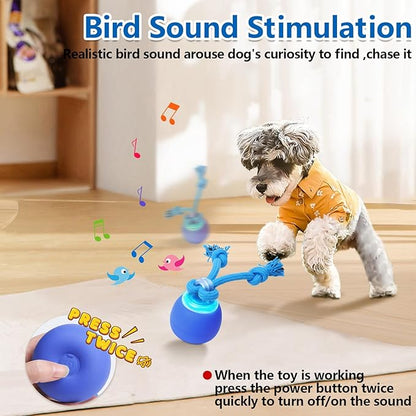 Saolife Interactive Dog Toys with Motion Activated, Squeaky Dog Toy Active Rolling Ball for Puppy and Medium Dogs, USB Rechargeable
