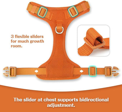 No Pull Dog Harness for Small Medium Large Dogs - Adjustable 2 Layer Mesh Dog Vest with Dual Clip, Escape Proof, Quick Release, Lightweight Breathable Mesh for Walking Hiking (Orange,S)