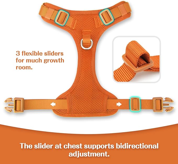 No Pull Dog Harness for Small Medium Large Dogs - Adjustable 2 Layer Mesh Dog Vest with Dual Clip, Escape Proof, Quick Release, Lightweight Breathable Mesh for Walking Hiking (Orange,XS)