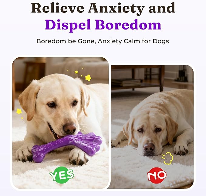 Frienhund Indestructible Tough Dog Toys for Aggressive Chewers - 2 Pack Beef and Bacon Flavored Chew Bone for Large Dogs 20-90 lbs, Long Lasting & Keep Them Busy (XL Cactus) Dark Purple & Dark Green