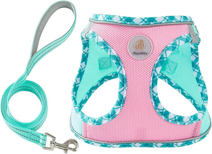Hipubby Dog Harness Small Sized and Leash Set, No Pull Soft Mesh Puppy Vest, Reflective Breathable Lightweight Pet Harness, Harness for Small Medium Dogs and Cats - Pink Green, M