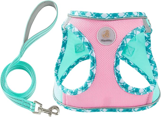 Hipubby Dog Harness Small Sized and Leash Set, No Pull Soft Mesh Puppy Vest, Reflective Breathable Lightweight Pet Harness, Harness for Small Medium Dogs and Cats - Pink Green, XXS