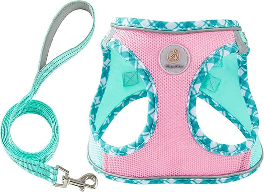 Hipubby Dog Harness Small Sized and Leash Set, No Pull Soft Mesh Puppy Vest, Reflective Breathable Lightweight Pet Harness, Harness for Small Medium Dogs and Cats - Pink Green, XXS