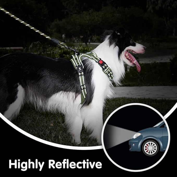 PoyPet No Pull Dog Harness and 5 Feet Leash Set, Release on Neck Reflective Adjustable Pet Vest, Front & Back 2 D-Ring and Soft Padded Pet Harness with Handle for Small to Large Dogs(Military Green,L)