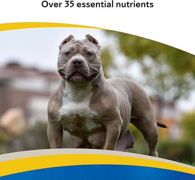 Doc Roy’s Daily Care Extra Canine, Multivitamin Supplement for Dogs, Daily Nutrient Support with Vitamins & Minerals, Roast Beef & Liver Flavor Tablets, 2500 ct