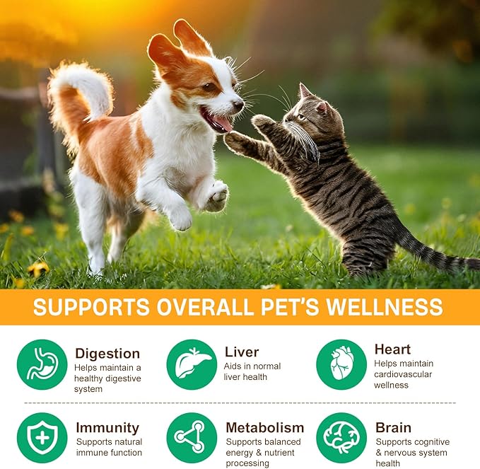 Mushroom Supplement Powder for Dogs & Cats, 2 Pack Turkey Tail Mushroom for Dog, Enriched with Antioxidants, Immune Support, Cellular Protection, Joint & Skin Support, Mushrooms Complex for Pets