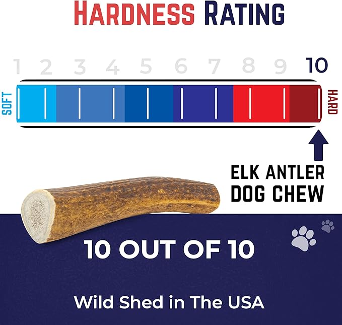 Devil Dog Pet Co - Elk Antler for Dogs Large - Long Lasting Natural Dog Chew for Aggressive Chewers, Medium Breeds - Naturally Shed Grade A Rocky Mountain Elk, Reduces Anxiety & Boredom (35-60 lbs)