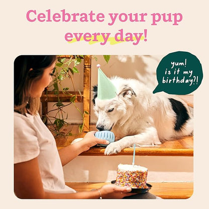 WOOF Party Pupsicle - Long-Lasting Interactive Dog Toys for Boredom - Low-Mess Design - Birthday Gifts for Dogs - Large Dog Toys - Buddy Blue
