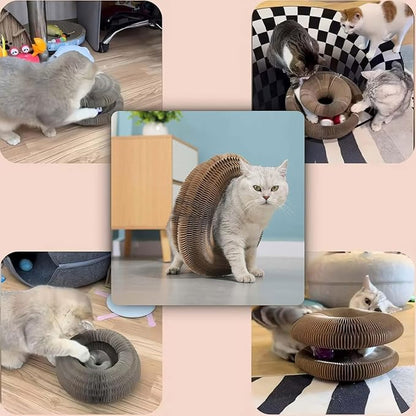 2Pcs Magic Organ Cat Scratcher Toy, Extra-Thick & Large Connectable Cardboard Cat Scratching Board with Bell Ball, Interactive Enrichment Toy for Indoor Cats & Kittens