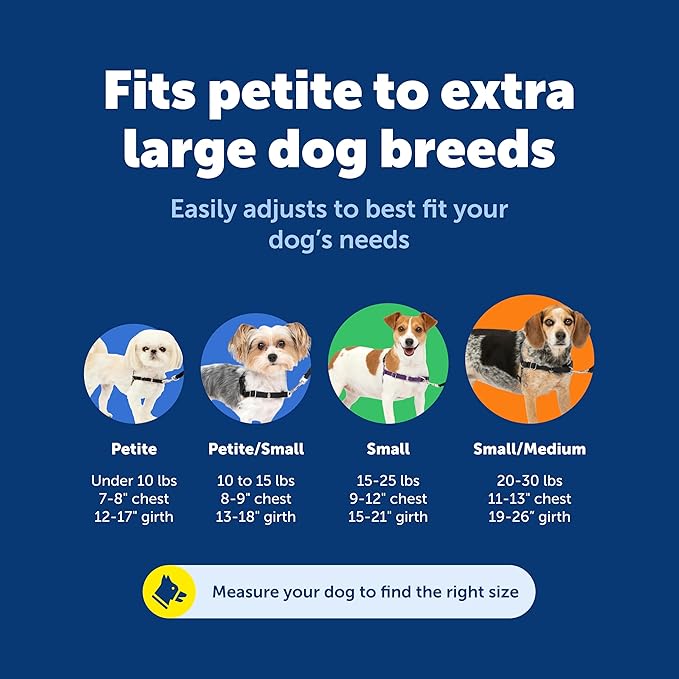 PetSafe Easy Walk No-Pull Dog Harness - The Ultimate Harness to Help Stop Pulling - Take Control & Teach Better Leash Manners - Helps Prevent Pets Pulling on Walks, Small/Medium, Red/Black