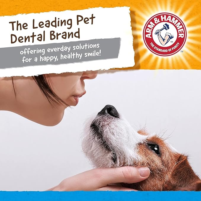 Arm & Hammer for Pets Nubbies Dental Toys, Gator - Dental Chew Toy for Dogs for Moderate Chewers - Reduces Plaque & Tartar Buildup Without Brushing - 2 Pack