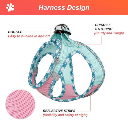Hipubby Dog Harness Small Sized and Leash Set, No Pull Soft Mesh Puppy Vest, Reflective Breathable Lightweight Pet Harness, Harness for Small Medium Dogs and Cats - Pink Green, XXS