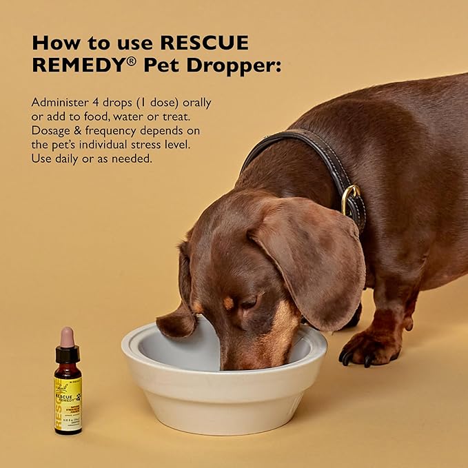 Rescue Remedy Pet Dropper - 10mL - Stress & Tension Support for Dogs & Cats with Bach Natural Flower Essences - Sedative-Free, Homeopathic Liquid Formula - For All Breeds, Ages & Weights