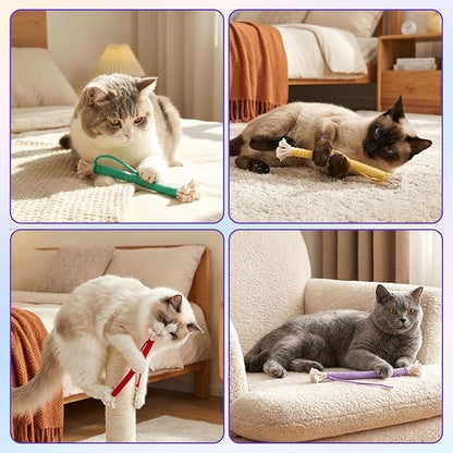 Cat Toys Chew Ropes, 6 PCS Kitten Teething Toys for Indoor Kittens Interactive Cats Cleaning Toy Refillable Catnip Cat Chew Ropes Toy for Indoor Cats Teeth Cleaning Self Playing