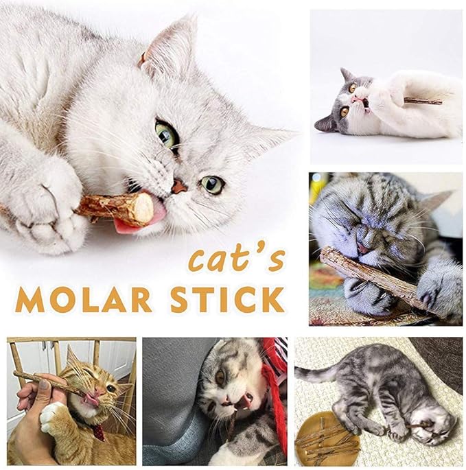 WoLover 20 PCS Cat Catnip Sticks Natural Matatabi Silvervine Sticks - Cleaning Teeth Molar Tools Kitten Chew Toy Natural Catnip Cats Toy