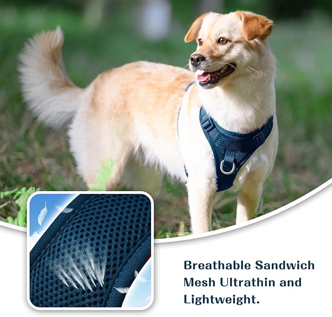 No Pull Dog Harness for Small Medium Large Dogs - Adjustable 2 Layer Mesh Dog Vest with Dual Clip, Escape Proof, Quick Release, Lightweight Breathable Mesh for Walking Hiking (Prussian Blue,M)