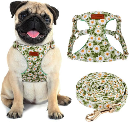 CHEDE No Pull Floral Pattern Dog Harness- Lightweight and Soft Harness, Adjustable Small Dog Harness and Leash Set, with Dog Leash, Suitable for Puppy Small and Medium-Sized Dog (S, Green Daisy)