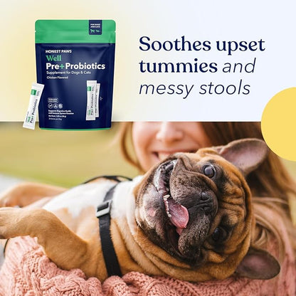 Honest Paws Probiotics for Dogs - Digestive & Immune Support Powder with Prebiotic Made in The USA, Chicken Flavor (30 Sticks)