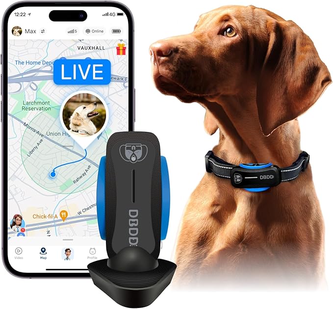 DBDD AI GPS Tracker for Dogs (30lbs+), Real Time Location and AI Health Assistant, Electronic Fence, Waterproof, iOS and Android Universal (D5-Black)