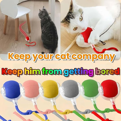Interactive Rotating Cat Ball Toy, 360 Smart Rolling Ball Electric, Automatic Moving for Cats & Kittens (Green+Grey)