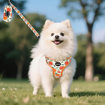 Small Dog Harness and Leash Set of 6, No Pull Soft Lightweight Mesh Puppy Harness， Adjustable Cute Floral Pattern Pet Harness for Small Medium Dogs (Orange, M)