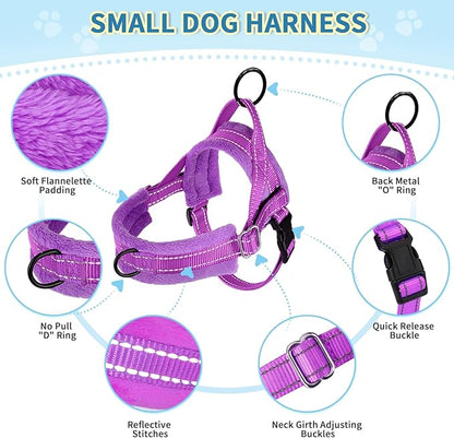 Lukovee No Pull Dog Harness and Leash Set, Soft Padded Small Dog Harness, Neck & Chest Adjustable Reflective Vest Puppy Harness with 4ft Lightweight Anti-Twist Dog Leash for Small Dogs (XS, Purple)