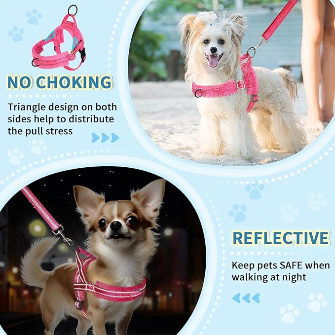 Lukovee No Pull Dog Harness and Leash Set, Soft Padded Small Dog Harness, Neck & Chest Adjustable Reflective Vest Puppy Harness with 4ft Lightweight Anti-Twist Dog Leash for Small Dogs (XXS, Pink)