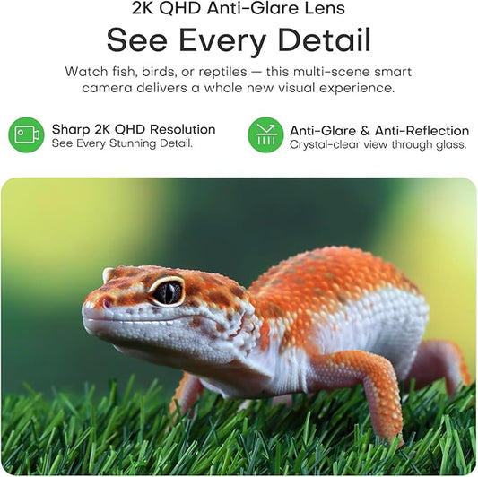 Aquarium 3MP Terrarium AI Monitoring Camera Close-up Details, 2.4G&5Ghz WiFi Starlight Color Vision for Reptile Pets, Anti-Glare& NO Reflect with 24/7 Events Recording in Easy Magnetic Install