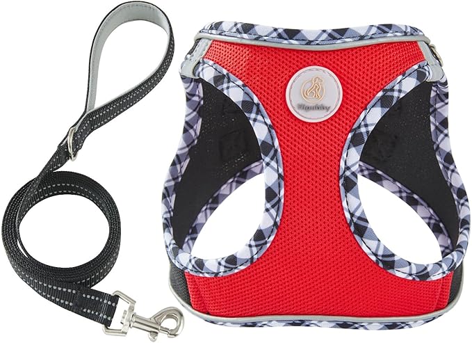 Hipubby Dog Harness Small Sized and Leash Set, No Pull Soft Mesh Puppy Vest, Reflective Breathable Lightweight Pet Harness, Harness for Small Medium Dogs and Cats - Black Red, M