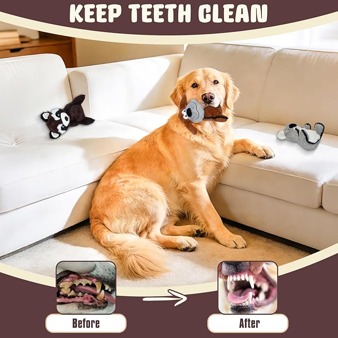 Dog Toys 3-Pack Stuffed Plush Large Dog Toy to Keep Them Busy, Interactive Squeaky Indoor Outdoor Dog's Toy Crinkle Soft Fabric Puppy Toys(Dog,Koala, Raccoon) not for Aggressive chewers