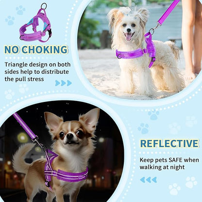 Lukovee No Pull Dog Harness and Leash Set, Soft Padded Small Dog Harness, Neck & Chest Adjustable Reflective Vest Puppy Harness with 4ft Lightweight Anti-Twist Dog Leash for Small Dogs (XXS, Purple)