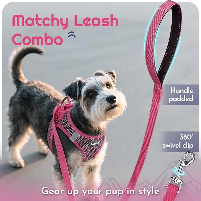 Eagloo Small Dog Harness and Leash Set, Step in Puppy Vest with Breathable Soft Mesh, Walking Reflective Pet Harness for Small Dogs, Rose Red, XS