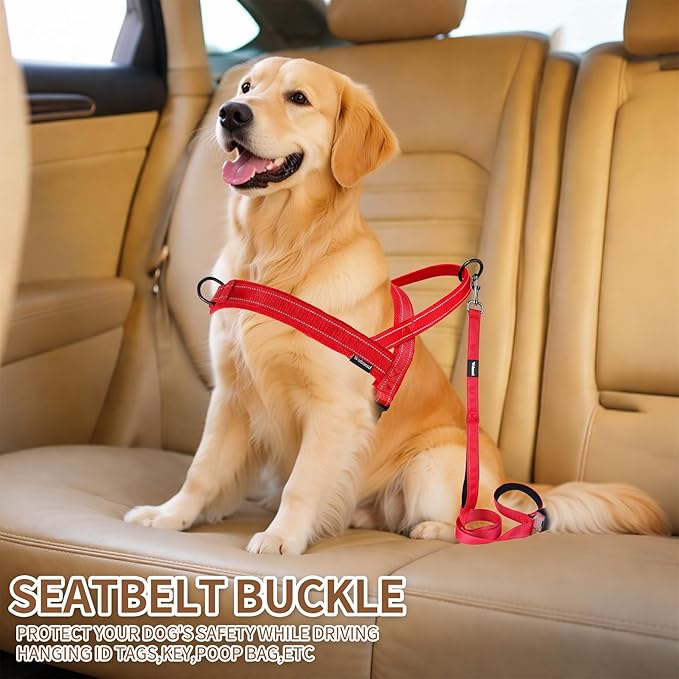 No Pull Dog Harness and Leash Set-Reflective Vest with Handle&5FT Dog Leash with Car Seatbelt Clip,Breathable Mesh&Quick Fit Dog Harness Easy for Medium Large Dogs Training Walking (Red,S)