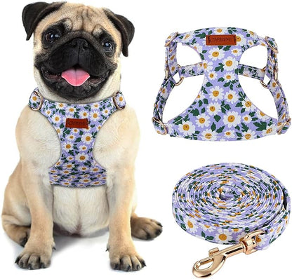 CHEDE No Pull Floral Pattern Dog Harness- Lightweight and Soft Harness, Adjustable Small Dog Harness and Leash Set, with Dog Leash, Suitable for Puppy Small and Medium-Sized Dog (M, Purple Daisy)