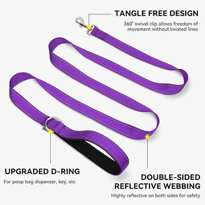 Joytale Dog Leash, 5 FT Double-Sided Reflective, Padded Handle Nylon Heavy Duty Leashes for Small Dogs Walking, Purple