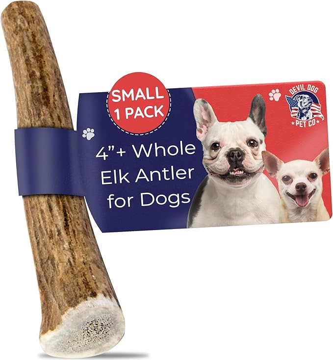 Devil Dog Pet Co - Elk Antler for Dogs Small - Long Lasting Dog Chew for Aggressive Chewers, Toy & Small Breeds - Naturally Shed Grade A Rocky Mountain Elk, Anxiety & Boredom Relief (Up to 20 lbs)