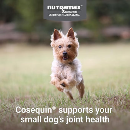 Cosequin Minis Soft Chews Maximum Strength with MSM Plus Omega3,45 Count (Pack of 2)