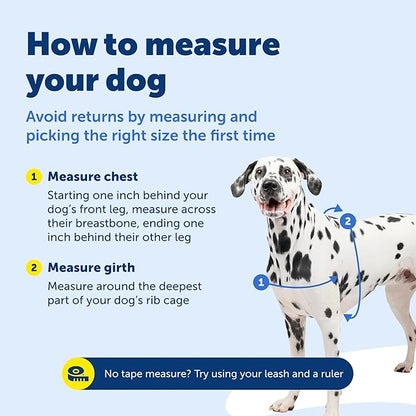 PetSafe Easy Walk Harness for Dogs - Pull-Free Walks - Patented Martingale Loop Design - Front Chest Leash Attachment - Adjustable Comfort Straps - Breathable Harness Design - Large, Black/Silver