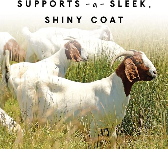 Manna Pro Goat & Skin Supplement, Supports Healthy Skin, Shiny Coat & Overall Wellness, Goat Feed Supplement w/Essential Vitamins & Minerals, for Strong Hooves & Immune Health, 4 lbs