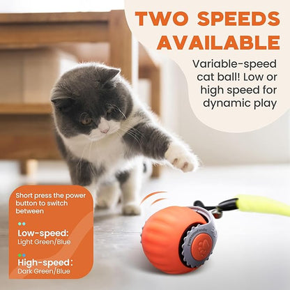 Interactive Cat Toy for Indoor Cats, Two Speed Smart Automatic Cat Toy Moving Ball with Tail, Rechargeable Motion Activated Cat Toys for Bored Indoor Adult Cats (Adapter Not Included)