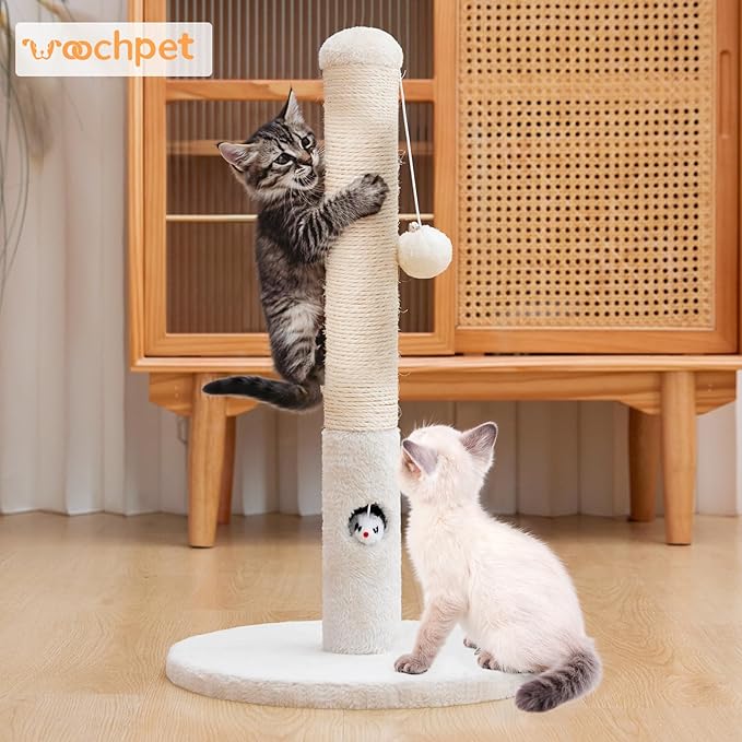 Woochpet Cat Scratching Post for Kitten, 23in Tall Cute Small Cat Scratching Post with Premium Sisal Rope and Dangling Cat Toy Balls (White