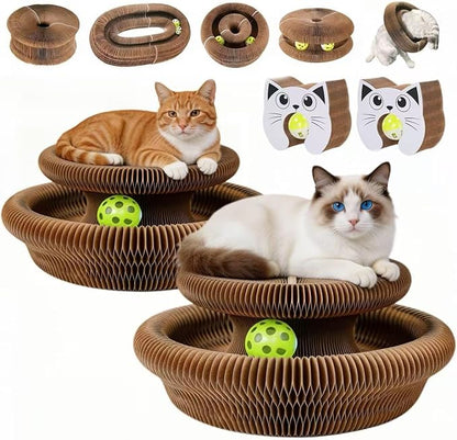 Twisty Paws Cat Toy - 2 Pack Magic Organ Kitty Curl Scratcher, Interactive Magnetic Cardboard Shape Shifting, Reversible Accordion Kurlz Board with Bell-Ball for Indoor Cats