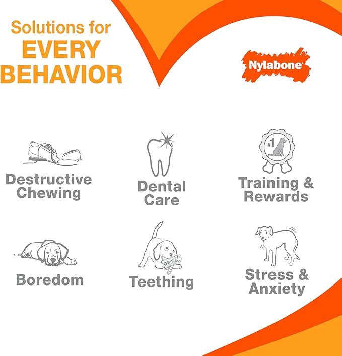 Nylabone Easy-Hold Dental Bone Power Chew Toy for Dogs, Dog Toys for Aggressive Chewers, Bacon Flavor, Large - Up to 50 lbs, 1 Count