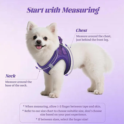YIMEIS Dog Harness and Leash Set, No Pull Soft Mesh Pet Harness, Reflective Adjustable Puppy Vest for Small Medium Large Dogs, Cats (Purple, Small (Pack of 1)